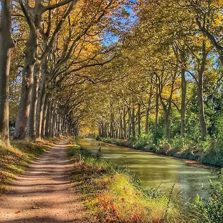 Appartement Le Tapissier - Centre - Luxe - Climatisation *
